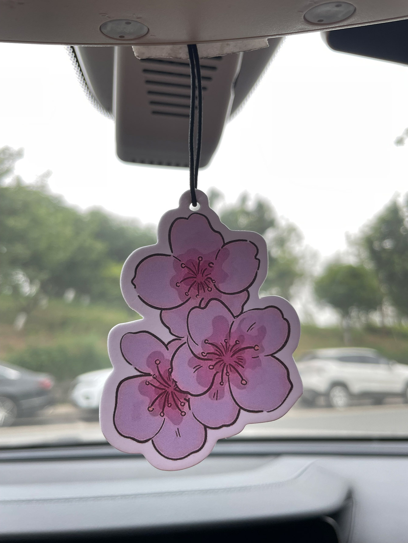 Home Fragrance Collection - Sakura/Freesia Fresh Scent Five-Star Neutral Car
