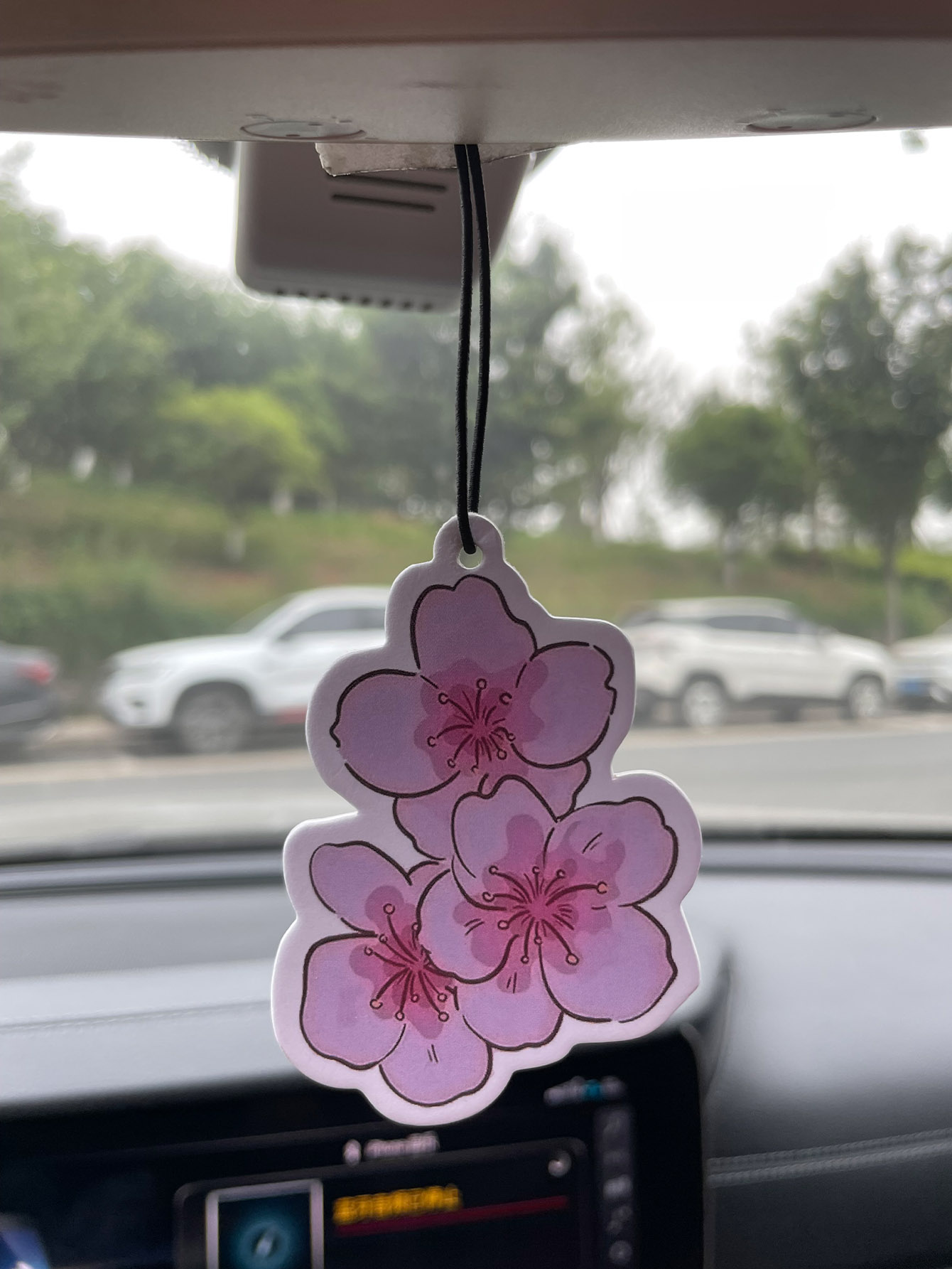 Sakura/Freesia Fresh Scent Fiv - Home Fragrance Collection 评论和价格